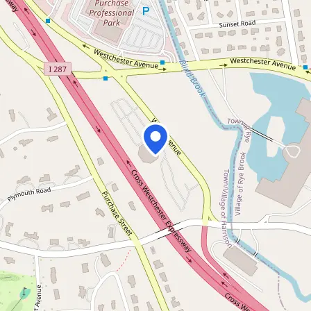 Map showing the location of Prometric Test Center in City of Rye