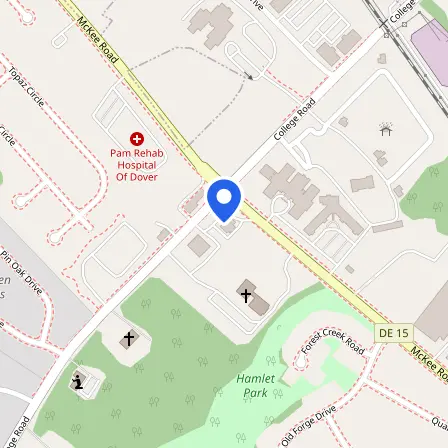 Map showing the location of Pearson Professional Center in Dover
