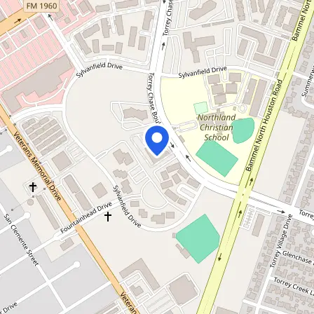 Map showing the location of Pearson Professional Center in Houston