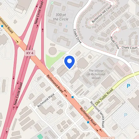 Map showing the location of Prometric in Lexington