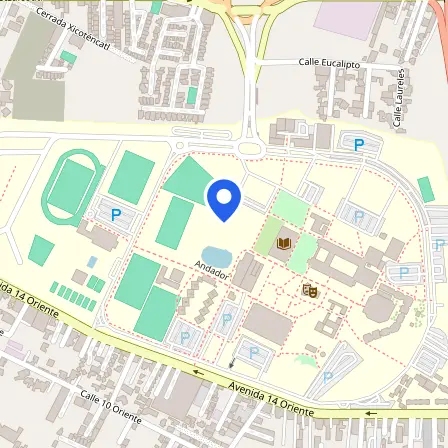 Map showing the location of UDLAP in San Andrés Cholula