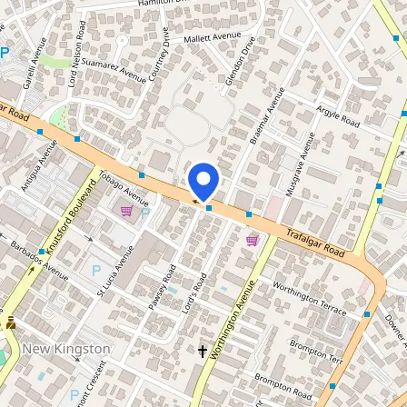 Map showing the location of British Council Caribbean in Half Way Tree