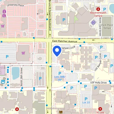 Map showing the location of USF Testing Services in Tampa